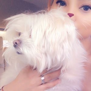 Meet your Posher, Sash